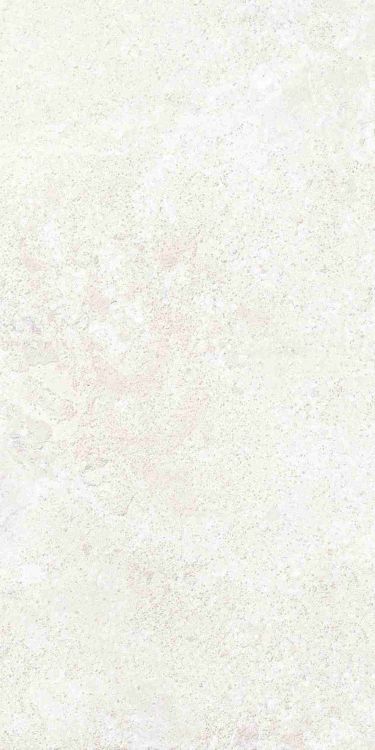 Petra Viva Bone Matte 12 x 24